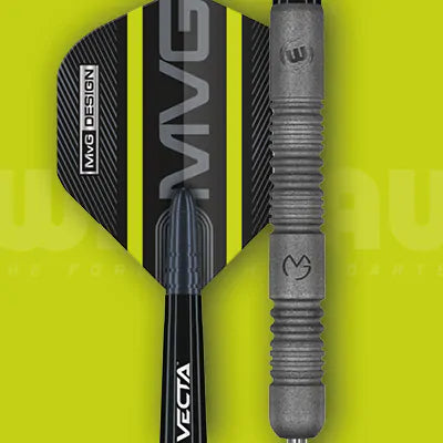 Michael van Gerwen darts
