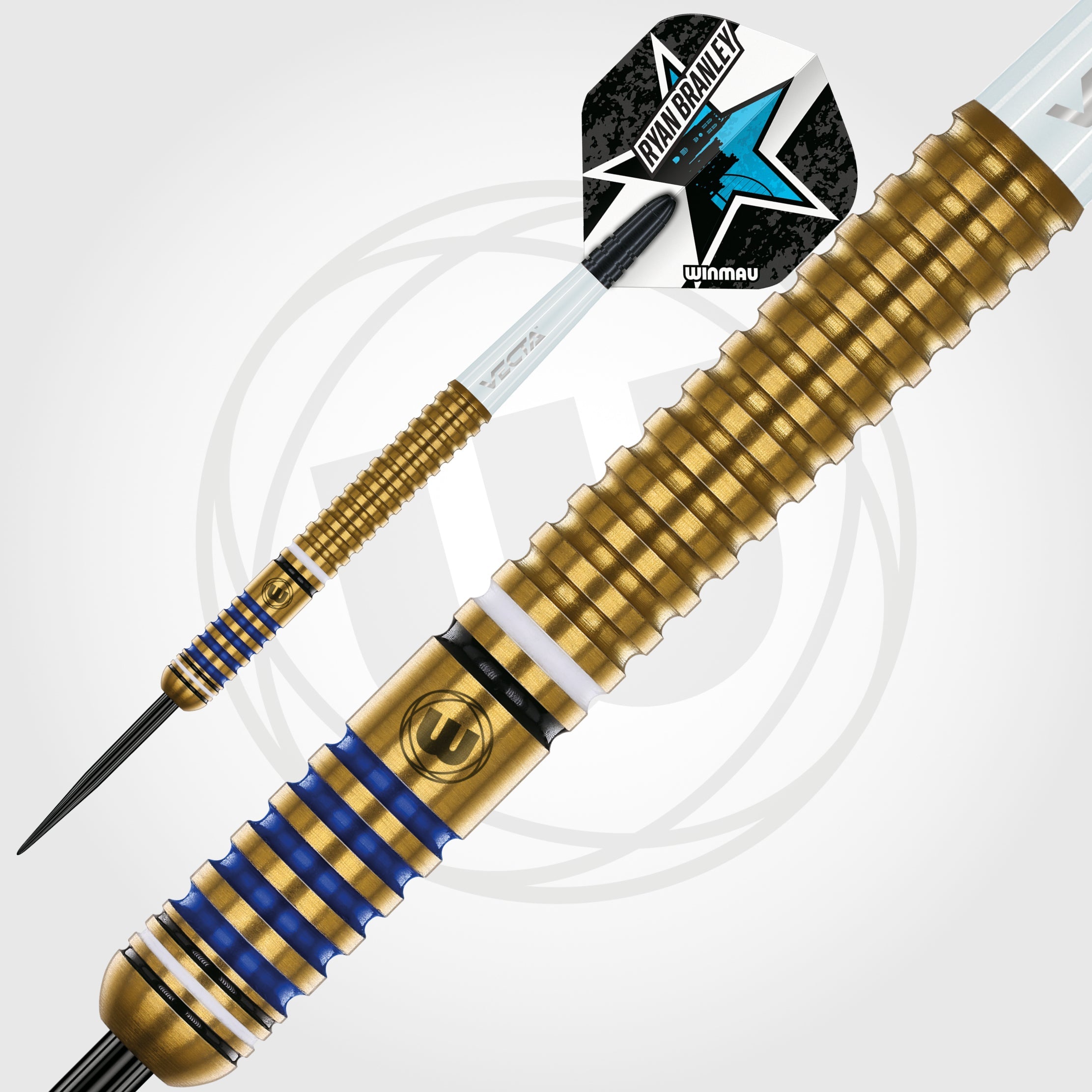 Ryan Branley Darts