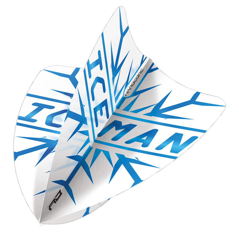 RDD_F6794_Freestyle Gerwyn Price Snowflake Dart Flight - Image 1