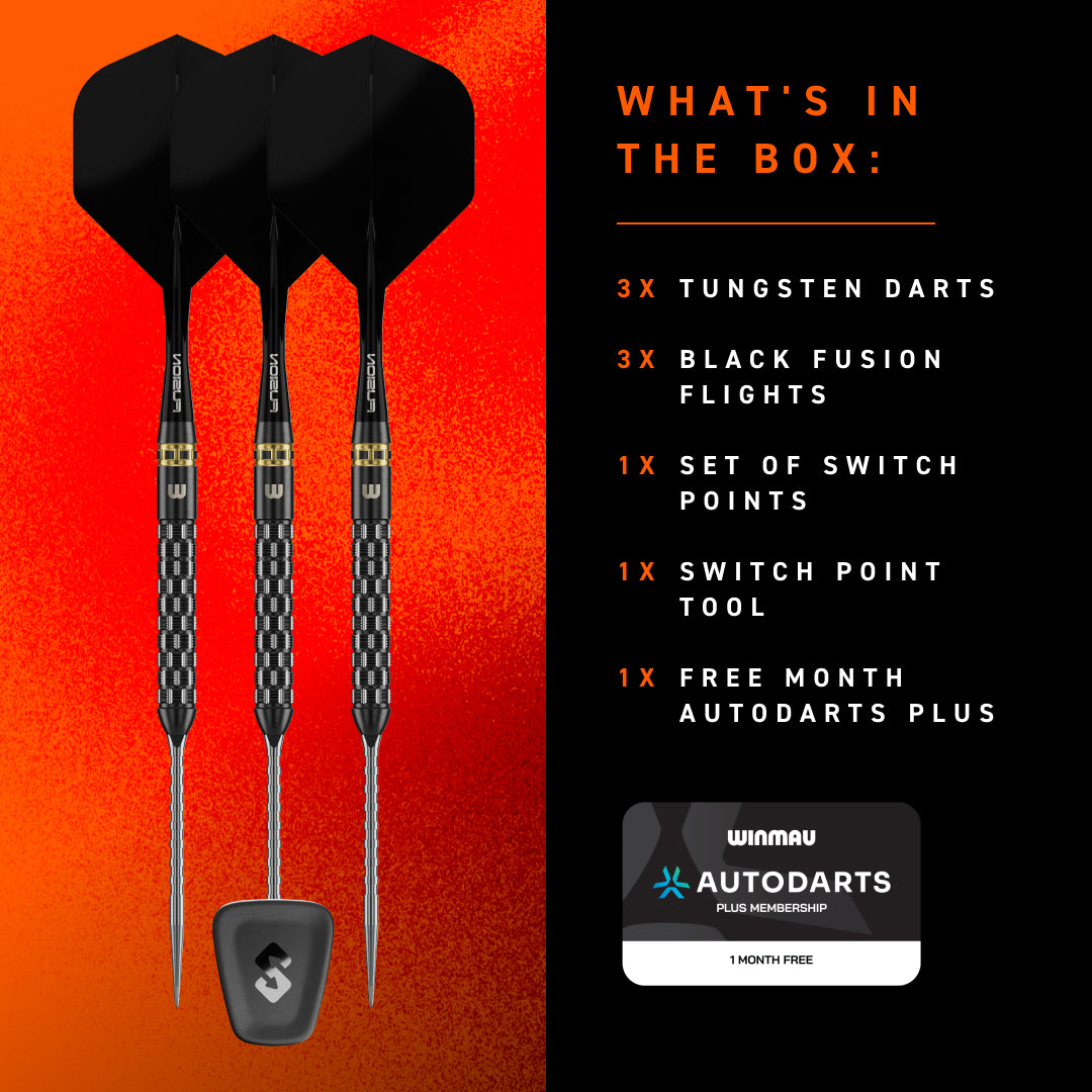 Gian van Veen TS-PRO 90% Switch Point Darts