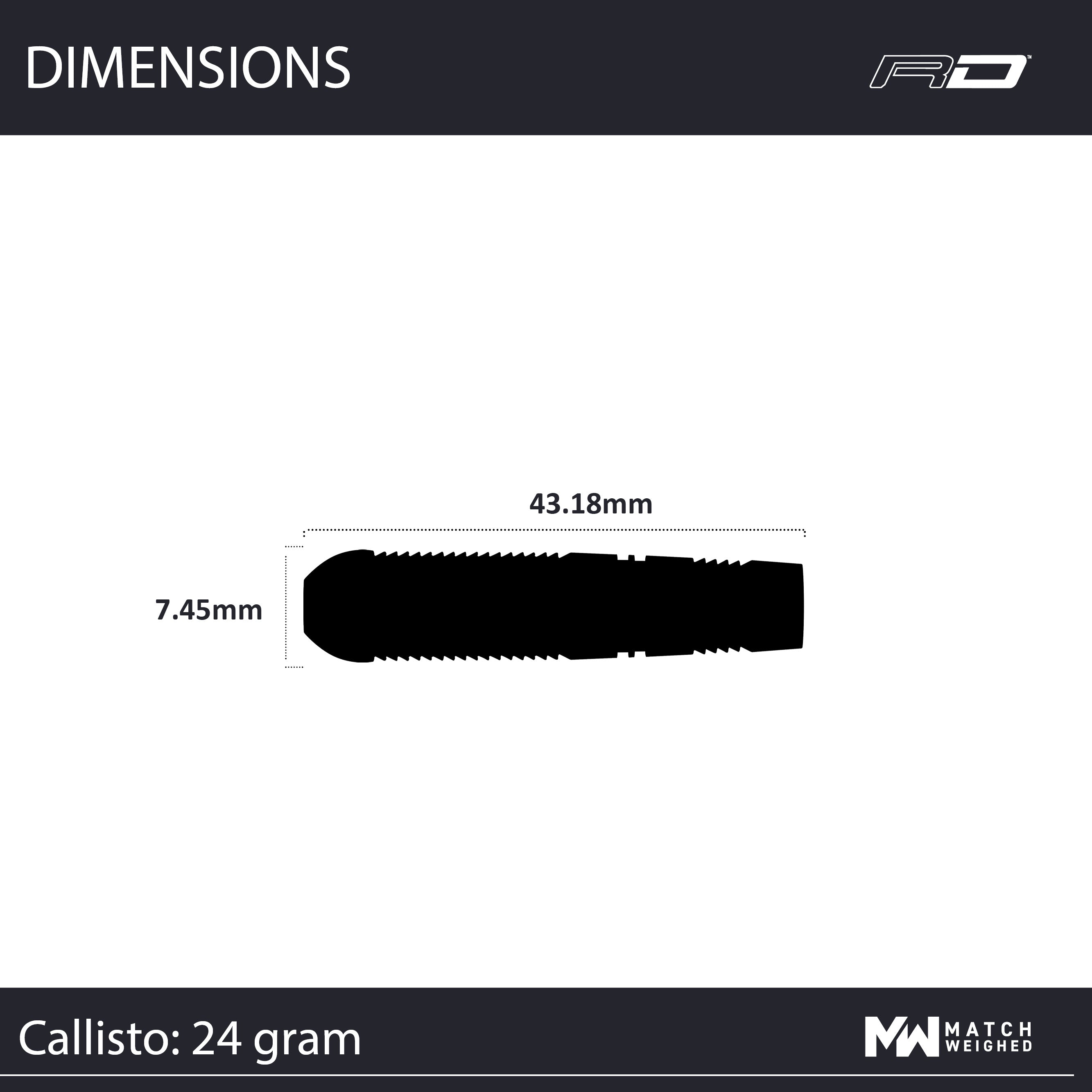 Callisto 03